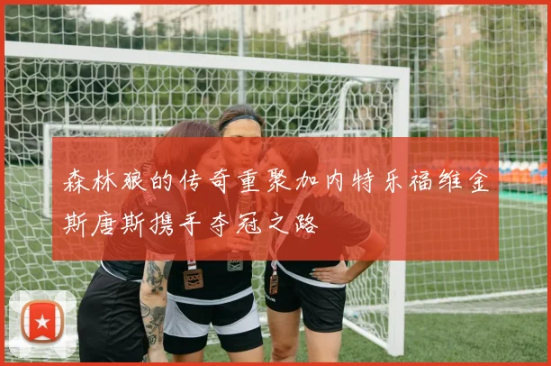 森林狼的传奇重聚加内特乐福维金斯唐斯携手夺冠之路